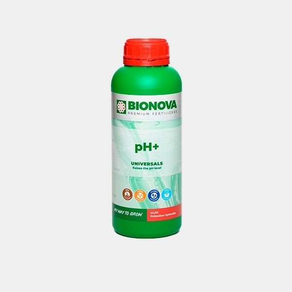 pH+ en GB Lleida