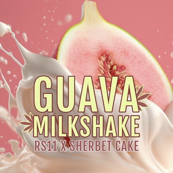 Guava Milkshake en GB Lleida