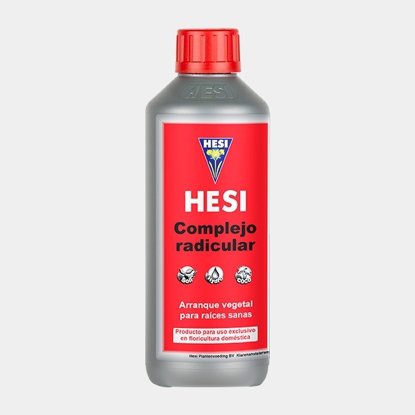 Complejo Radicular de Hesi en GB Lleida
