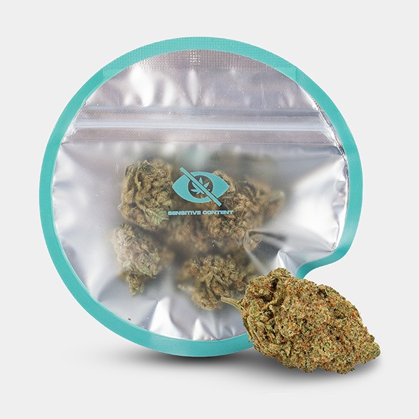 Flores CBD KEMA 'Amnesia Haze' de KEMA en GB Lleida