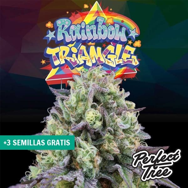 Rainbow Triangle de Perfect Tree Seeds en GB Lleida