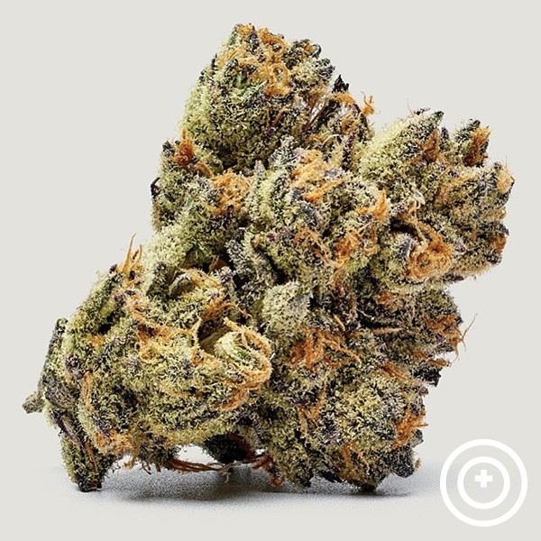 Honey Runtz Purple City Genetics en GB Lleida