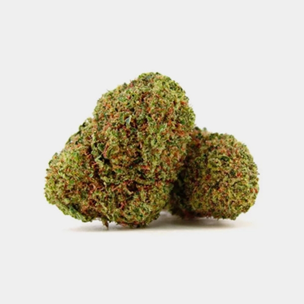 Flores CBD North Thunderfuck Cocori Kush en GB Lleida