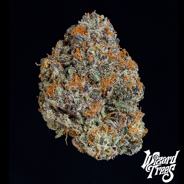 Potion de Wizard Trees en GB Lleida