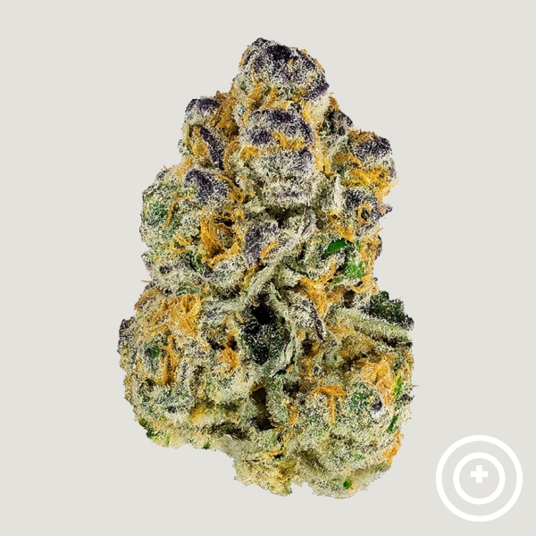 Sour Peaches Purple City Genetics en GB Lleida