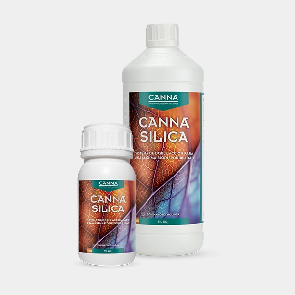 Canna Silica de Canna en GB Lleida