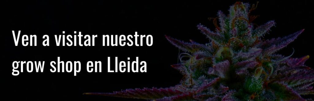 GB Lleida | Grow shop